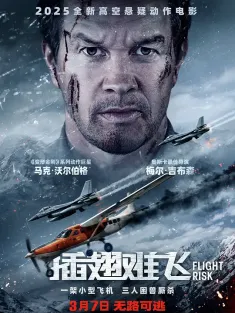 《插翅难飞 Flight Risk 2025》危险飞行/飞行风险/高空杀机(港)