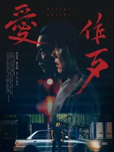 爱作歹 愛作歹 2024 Silent Sparks [中国台湾] 豆瓣：