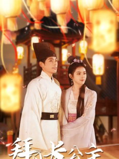 短剧《拜见长公主&华灯初上时》(80集) 网盘在线观看