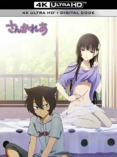 散华礼弥 さんかれあ (2012) / Sankarea / 僵尸哪有那么萌？(台) / 4K动画片下载