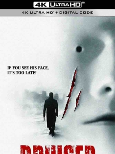 无面人 Bruiser (2000) /法国/加拿大/美国/豆瓣: