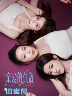 亲爱的仇敌 2025 Dear Enemy