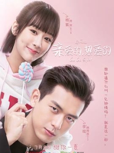 亲爱的，热爱的 (2019) / 蜜汁炖鱿鱼 / Go Go Squid! / 阿里云盘资源