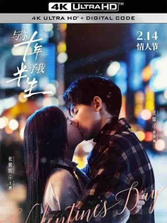 与你十年，予我半生 (2023) / 向阳奔跑 / 4K电视剧下载