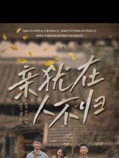 短剧《亲犹在人不归》(32集) 网盘在线观看