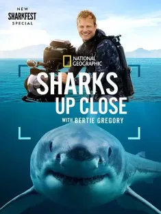 摄影师贝尔蒂与鲨鱼零距离 Sharks Up Close With Bertie Gregory 2025 摄影师伯蒂与鲨鱼零距离