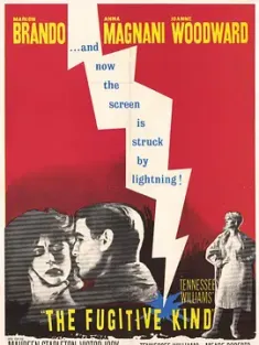 逃亡者 The Fugitive Kind (1960) 欲火情焰/漂泊者/流浪者