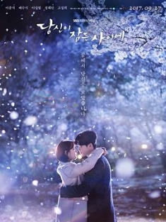 当你沉睡时 당신이 잠든 사이에 (2017) / 你睡着的时候 / 在你沉睡时 / While You Were Sleeping / 韩剧下载