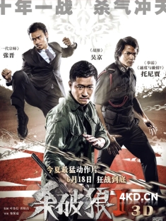 《杀破狼2 殺破狼2 2015》杀破狼2之杀无赦/SPL 2: A Time For Consequences/Kill Zone2