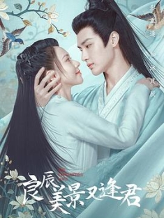 良辰美景又逢君 (2023) / The Everlasting Love / 阿里云盘资源