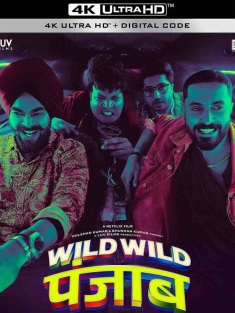 狂野分手团 Wild Wild Punjab (2024) /印度/豆瓣: