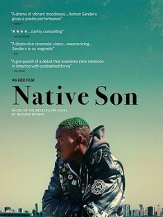 土生子 Native Son (2019) / 危險上路(台) / Native.Son.2019.2160p.HMAX.WEB-DL.x265.10bit.HDR.DDP5.1-EDITH