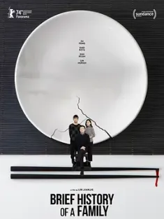 家庭简史 (2024) 准全家福/Brief History of a Family/中国大陆/丹麦/豆瓣: