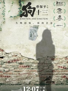 狗十三 (2013) Einstein.2013.2160p.WEB-DL.H265.AAC-CTRLWEB