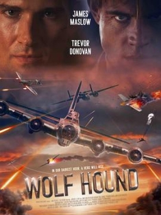 猎狼犬行动 Wolf.Hound.2022.2160p.WEB-DL.x265.10bit.SDR.DDP5.1