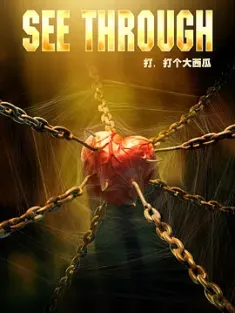 打，打个大西瓜 2008 See Through [中国大陆] 豆瓣:8.8