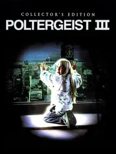 鬼驱人3 Poltergeist III 1988 鬼缠身