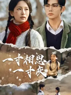 一寸相思一寸灰（43集）