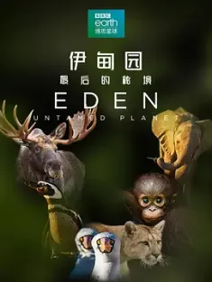 伊甸园：最后的秘境 Eden: Untamed Planet 2021  [英国] 豆瓣：9.2