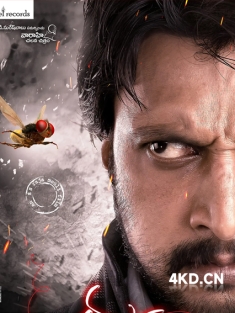 《功夫小蝇 Eega 2012》终极唬神：爱的大复仇(台)/蝇侠传说/苍蝇侠