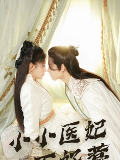 《小小医妃不好惹》短剧高清全集免费在线观看播放完整版
