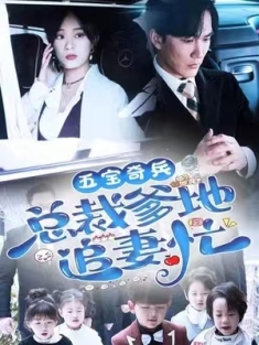 短剧《五宝奇兵总裁爹地追妻忙》(全集) 网盘在线观看