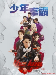 《少年拳霸》短剧高清全集免费在线观看播放完整版