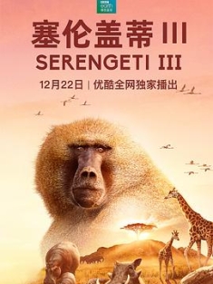 塞伦盖蒂 第三季 Serengeti.S03.2160p.iP.WEB-DL.x265.10bit.HDR.HLG.AAC2....