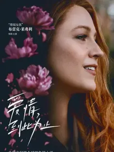 爱情，到此为止 It Ends with Us (2024) 痛爱完成式(港)/到我们为止(台)/以我们结束/美国 豆瓣: 6.3