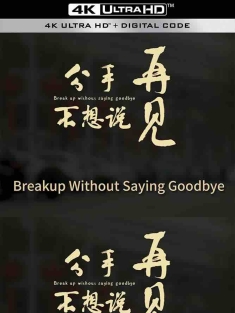 分手不想说再见 (2024) /中国大陆/豆瓣: