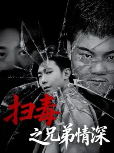 扫毒之兄弟情深（50集）