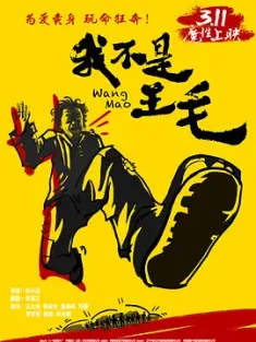 我不是王毛 (2014) Wang Mao/中国大陆/豆瓣: 8.0