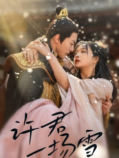 《许君一场雪》短剧高清全集免费在线观看播放完整版