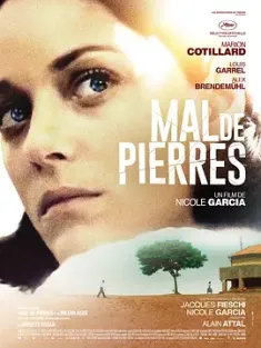 石之痛 Mal de pierres (2016) 炽恋(台)/迷情花月(港)/米粒之石/法国/比利时/加拿大/豆瓣: 6.8