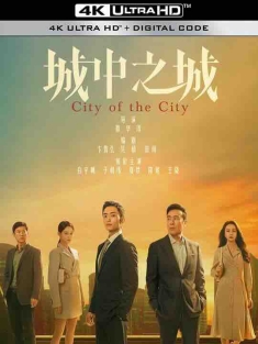 城中之城 (2024) / City of the City / 4K电视剧下载