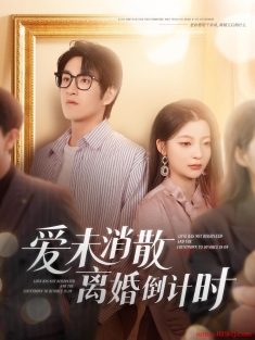 《爱未消散离婚倒计时》短剧高清全集免费在线观看播放完整版