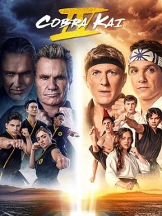 眼镜蛇 第四季 Cobra.Kai.S04.2160p.NF.WEB-DL.x265.10bit.HDR.DDP5.1-DONUT...