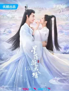 《星落凝成糖 2023》The Starry Love
