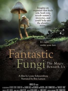神奇的真菌 Fantastic.Fungi.2019.2160p.WEB-DL.x265.10bit.SDR.DD5.1-FLUX