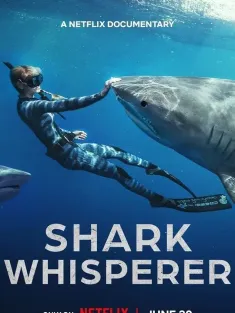 鲨语者 Shark Whisperer 2025