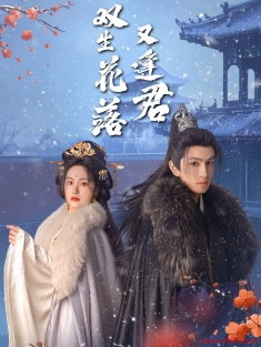 《双生花落又逢君》短剧高清全集免费在线观看播放完整版
