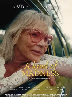 某种疯狂 A Kind of Madness 2025