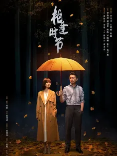 相逢时节 2022 落花时节/Challenges at Midlife