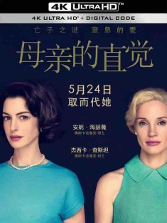 母亲的直觉 Mothers' Instinct (2024) / 母性本能 / 亡命母侵 美版