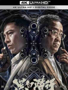 黑白潜行 (2024) / The Grey Men / 4K电影下载 / The.Grey.Men.2024.2160p.HQ.WEB-DL.H265.AAC.2Audio