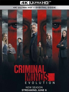 犯罪心理：演变 第十七季 Criminal Minds: Evolution Season 17 (2024) 犯罪心理 复活版/犯罪心理 第十七季/犯罪心理：进化