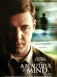 美丽心灵 A Beautiful Mind 2001 有你终生美丽(港)/美丽境界(台)/完美大脑 [美国] 豆瓣：9.1