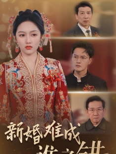 《新婚难成谁之错》短剧高清全集免费在线观看播放完整版