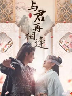 短剧《与君再相逢》(70集) 网盘在线观看