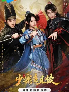 少寨主且慢 (2024) 偷心盗贼撞上匪/中国大陆/豆瓣: